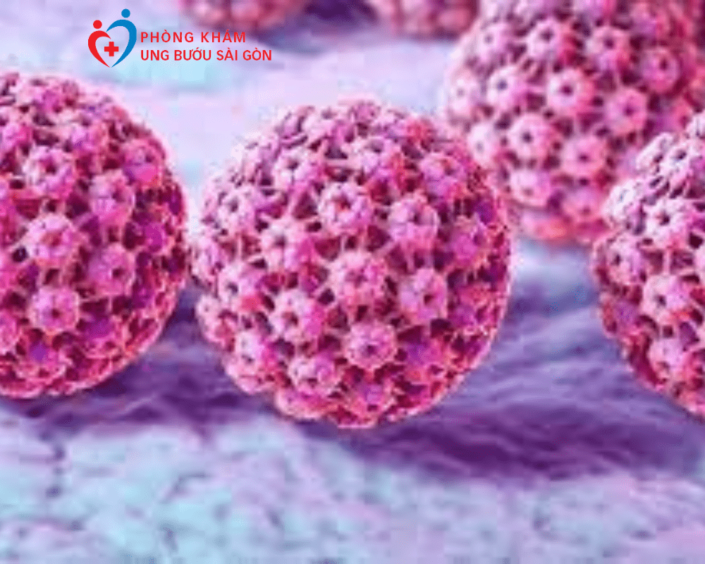 Virus HPV và nguy cơ ung thư cổ tử cung