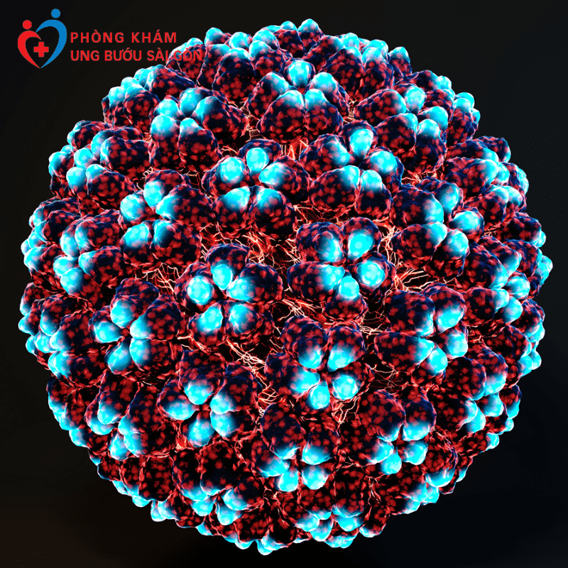 Các loại virus HPV: đặc điểm và hậu quả
